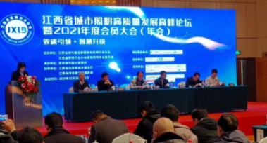 星空入口-星空入口(中国)受邀参加江西省城市照明高质量发展高峰论坛